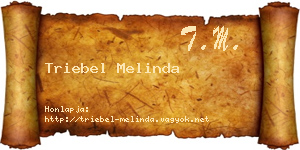 Triebel Melinda névjegykártya